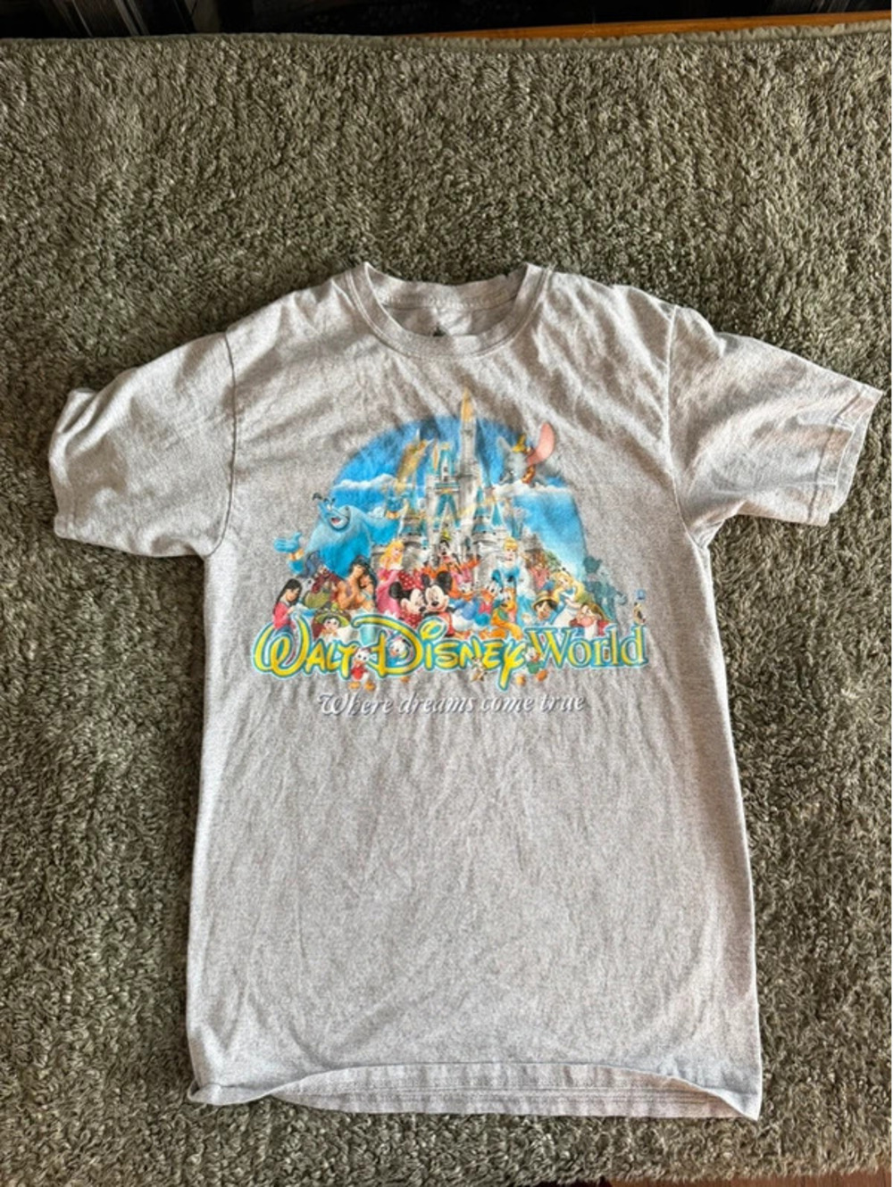 Walt Disney World Graphic T-Shirt Size Small